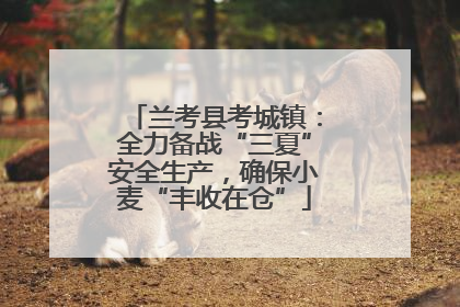 兰考县考城镇：全力备战“三夏”安全生产，确保小麦“丰收在仓”