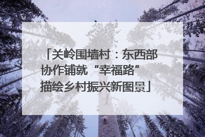 关岭围墙村：东西部协作铺就“幸福路” 描绘乡村振兴新图景