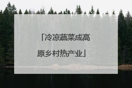 冷凉蔬菜成高原乡村热产业