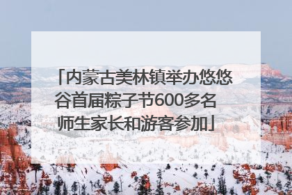 内蒙古美林镇举办悠悠谷首届粽子节600多名师生家长和游客参加