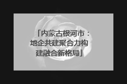 内蒙古根河市：地企共建聚合力构建融合新格局