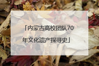 内蒙古高校团队70年文化遗产探寻史