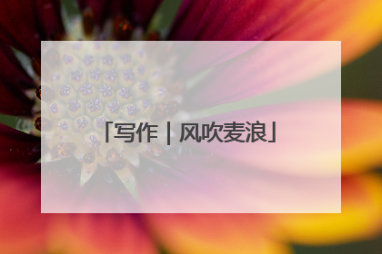 写作｜风吹麦浪