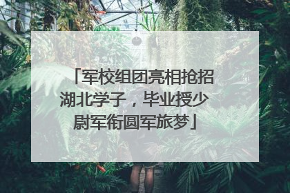 军校组团亮相抢招湖北学子，毕业授少尉军衔圆军旅梦
