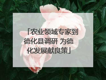 农业领域专家到德化县调研 为德化发展献良策