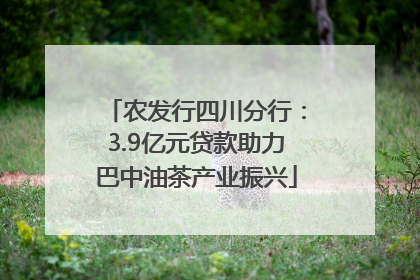 农发行四川分行：3.9亿元贷款助力巴中油茶产业振兴