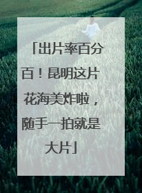 出片率百分百！昆明这片花海美炸啦，随手一拍就是大片