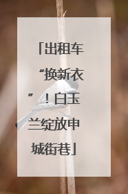 出租车“换新衣”！白玉兰绽放申城街巷