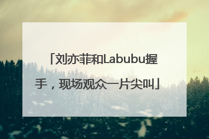 刘亦菲和Labubu握手，现场观众一片尖叫
