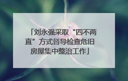 刘永强采取“四不两直”方式督导检查危旧房屋集中整治工作