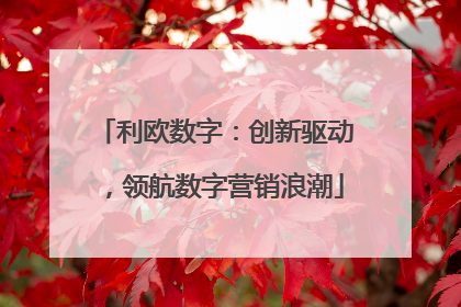 利欧数字：创新驱动，领航数字营销浪潮