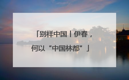 别样中国丨伊春，何以“中国林都”