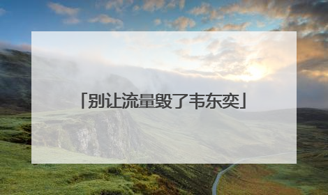 别让流量毁了韦东奕