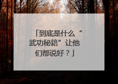 到底是什么“武功秘籍”让他们都说好？
