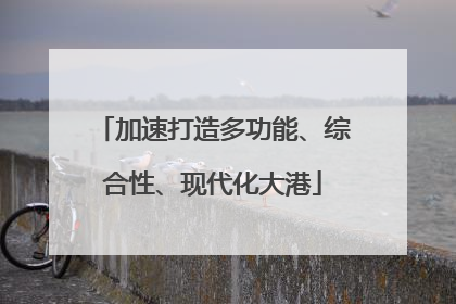 加速打造多功能、综合性、现代化大港