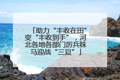 助力“丰收在田”变“丰收到手”，河北各地各部门厉兵秣马迎战“三夏”