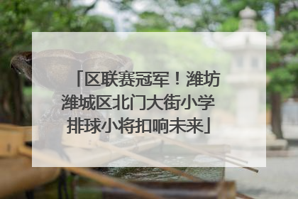 区联赛冠军！潍坊潍城区北门大街小学排球小将扣响未来