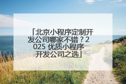 北京小程序定制开发公司哪家不错？2025 优质小程序开发公司之选