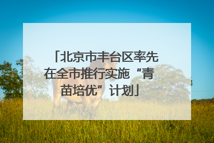 北京市丰台区率先在全市推行实施“青苗培优”计划