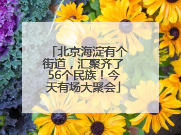北京海淀有个街道，汇聚齐了56个民族！今天有场大聚会