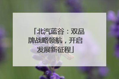 北汽蓝谷：双品牌战略领航，开启发展新征程