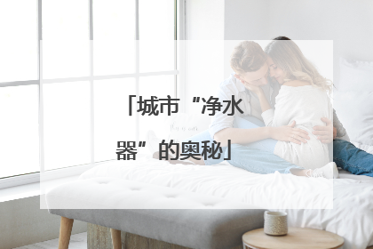 城市“净水器”的奥秘