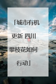 城市有机更新 四川攀枝花如何行动