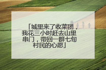 城里来了收菜团，我花三小时赶去山里串门，带回一群七旬村民的心愿