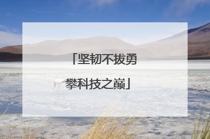 坚韧不拔勇攀科技之巅
