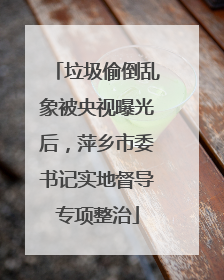 垃圾偷倒乱象被央视曝光后，萍乡市委书记实地督导专项整治