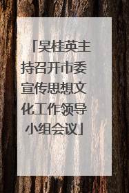 吴桂英主持召开市委宣传思想文化工作领导小组会议