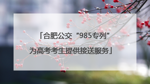 合肥公交“985专列”为高考考生提供接送服务