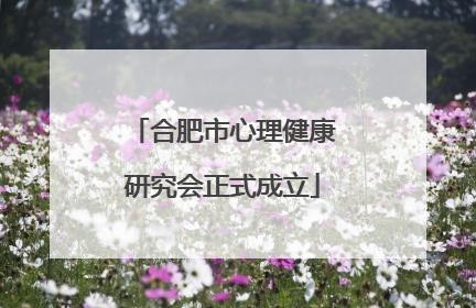 合肥市心理健康研究会正式成立