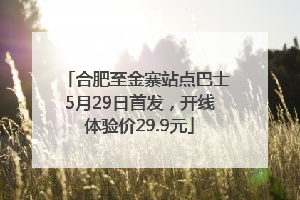 合肥至金寨站点巴士5月29日首发，开线体验价29.9元
