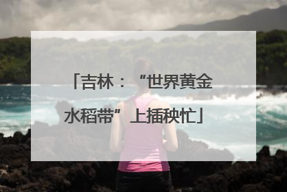 吉林：“世界黄金水稻带”上插秧忙