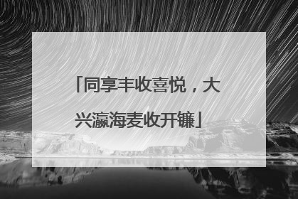 同享丰收喜悦，大兴瀛海麦收开镰