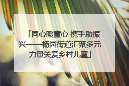 同心暖童心 携手助振兴——杨园街道汇聚多元力量关爱乡村儿童