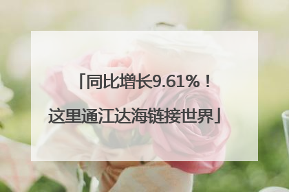 同比增长9.61%！这里通江达海链接世界