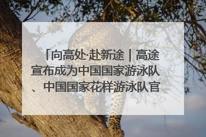 向高处·赴新途｜高途宣布成为中国国家游泳队、中国国家花样游泳队官方学习合作伙伴