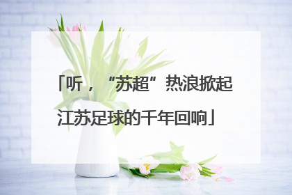 听，“苏超”热浪掀起江苏足球的千年回响