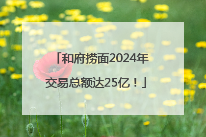和府捞面2024年交易总额达25亿！