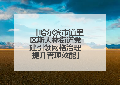 哈尔滨市道里区斯大林街道党建引领网格治理提升管理效能