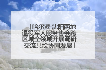哈尔滨·沈阳两地退役军人服务协会跨区域全领域开展调研交流共绘协同发展