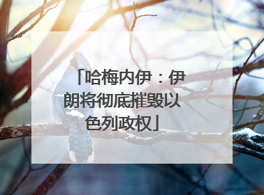 哈梅内伊：伊朗将彻底摧毁以色列政权