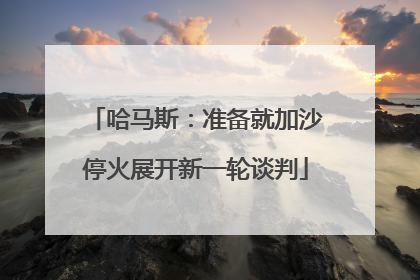 哈马斯：准备就加沙停火展开新一轮谈判