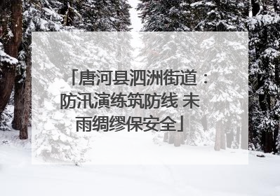 唐河县泗洲街道：防汛演练筑防线 未雨绸缪保安全