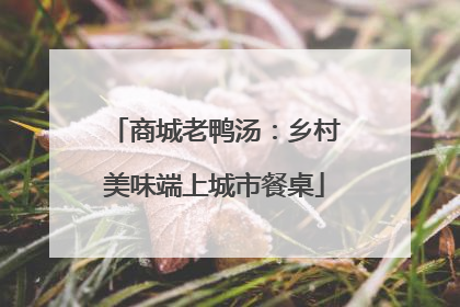 商城老鸭汤：乡村美味端上城市餐桌