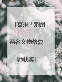喜报！荆州两名文物修复师获奖
