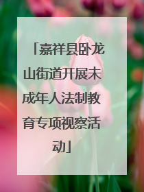 嘉祥县卧龙山街道开展未成年人法制教育专项视察活动