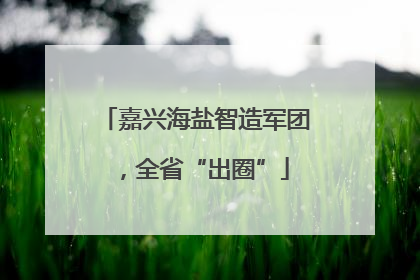 嘉兴海盐智造军团，全省“出圈”